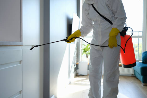 Best Certified Mold Removal  in North Kingsville, OH